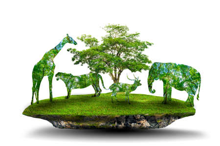 World Wildlife Day forest silhouette in the shape of a wild animal wildlife and forest conservation conceptの写真素材