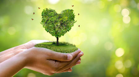 hand holding a heart tree environment earth dayの写真素材
