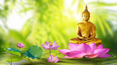 Buddha statue water lotus Buddha standing on lotus flower on orange backgroundの写真素材