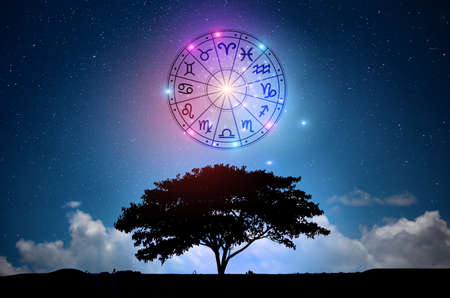 Zodiac signs inside of horoscope circle. Astrology in the sky with many stars and moons  astrology...