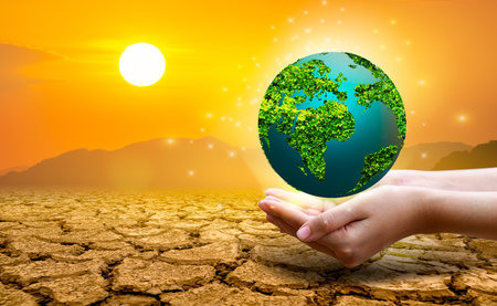 The Green Globe is located in extremely arid soil.の写真素材