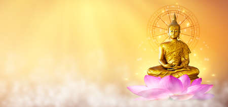 Buddha statue water lotus Buddha standing on lotus flower on orange background