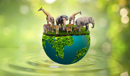 World Wildlife Day Concept Nature reserve conserve Wildlife reserve tiger Deer Global warming Food Loaf Ecology Human handsの写真素材