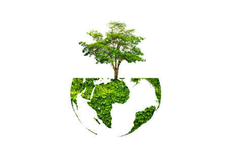 earth day tree on green earth on white isolate backgroundの写真素材