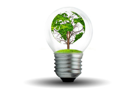 world shaped tree in light bulb concept of environmental conservation and protecting natureの写真素材