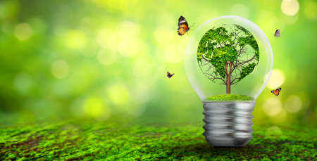 world shaped tree in light bulb concept of environmental conservation and protecting natureの写真素材