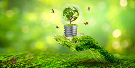 world shaped tree in light bulb concept of environmental conservation and protecting natureの写真素材