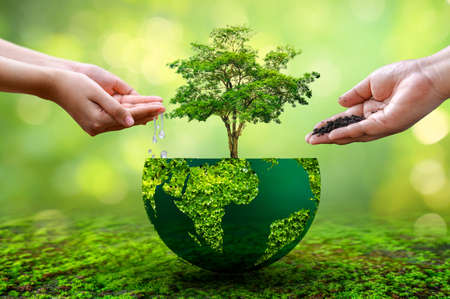 People are watering and fertilizing the plants. environmental care conceptの写真素材