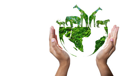 World Animal Day World Wildlife Day  Groups of wild beasts were gathered in the hands of peopleの写真素材