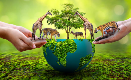World Animal Day World Wildlife Day  Groups of wild beasts were gathered in the hands of peopleの写真素材