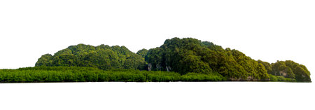 Isolate the island in the middle of the green sea white background separated from the backgroundの写真素材
