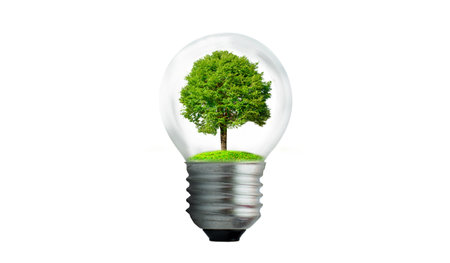 The bulb is located on the inside with leaves forest and the trees are in the light. Concepts of environmental conservation and global warming plant growing inside lamp bulb over dryの写真素材