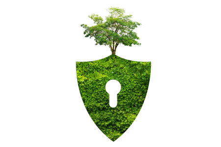 Green shield protects nature and protects the environment on white background.の写真素材