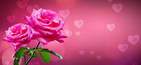 heart shaped background with pink roses for valentines dayの写真素材