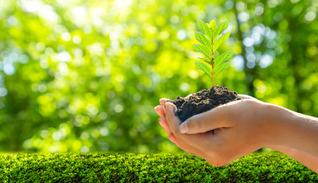 Concept Save the world save environment The world is in the grass of the green bokeh backgroundの写真素材