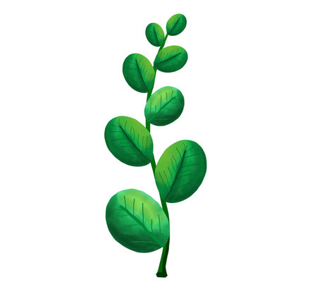 leaf vine watercolor painting on white background
Isolatedの写真素材