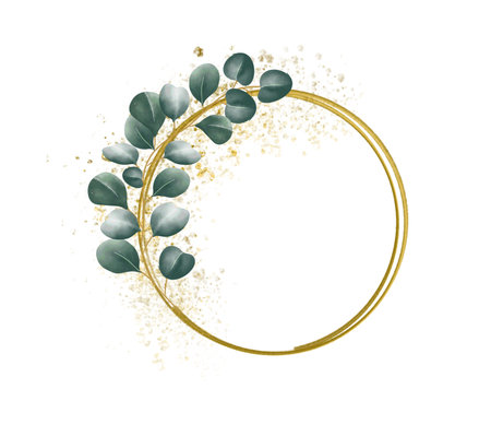 Golden circle frame with leaf vines Sawed eucalyptus leaves on a frame on a white backgroundの写真素材