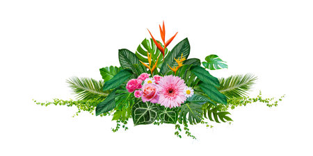 Cluster of bouquets and tropical jungle leaves and vines on white background. Isolateの写真素材