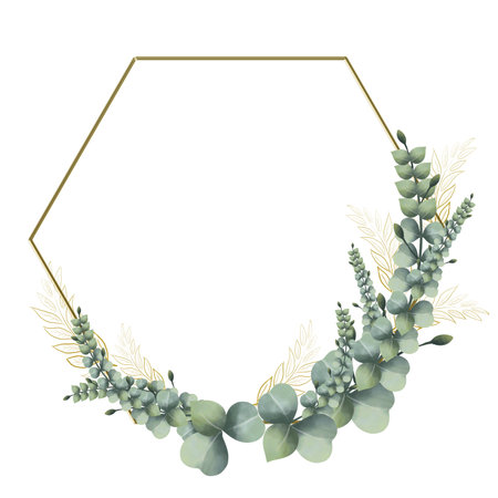 frame golden hexagon vintage leaves watercolor hand drawn golden frame line art on white background isolateの写真素材