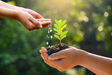 In the hands of trees growing seedlings. Bokeh green Background Female hand holding tree on nature field grass Forest conservation conceptの写真素材