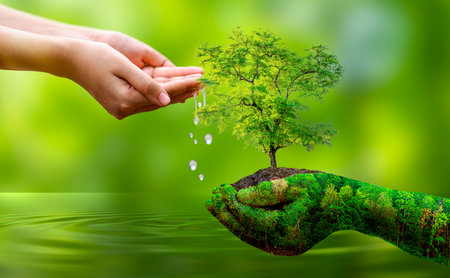 Concept Save the world save environment The world is in the grass of the green bokeh backgroundの写真素材