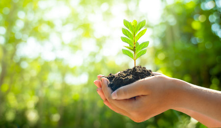 Concept Save the world save environment The world is in the grass of the green bokeh backgroundの写真素材