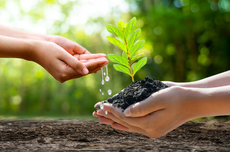 Concept Save the world save environment The world is in the grass of the green bokeh backgroundの写真素材