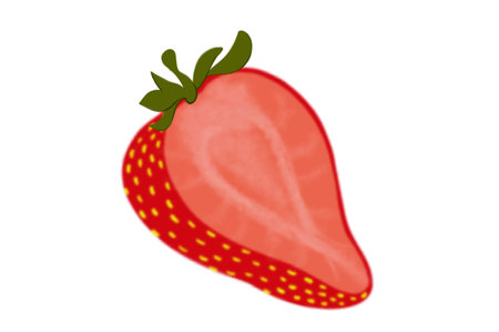 Fresh sweet strawberries. Halved and whole Red berries. Hand drawn summer strawberry trendy flat style isolated for design. illustrationの写真素材