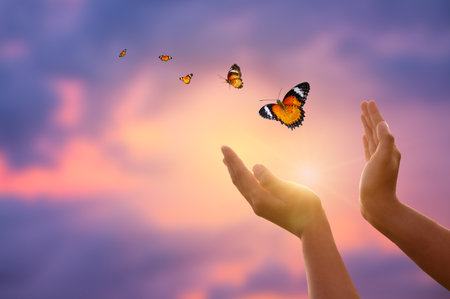 flying butterfly and  hands on abstract sunny natural background. end of summer concept. freedom. encounter man and nature. harmony, peaceful atmosphere landscapeの写真素材