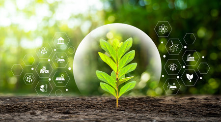 environment Earth Day In the hands of trees growing seedlings. Bokeh green Background Female hand...