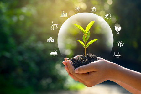 environment Earth Day In the hands of trees growing seedlings. Bokeh green Background Female hand holding tree on nature field grass Forest conservation conceptの写真素材