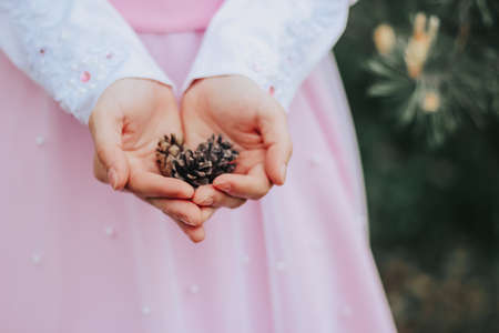 The girl in a pink dress holds cones in the hands of the forestの写真素材