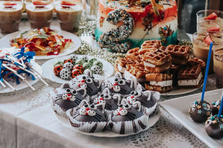 Cupcakes in the form of cats. Children's table catering. Sweets: waffles, sweets, cake, chocolate.の写真素材