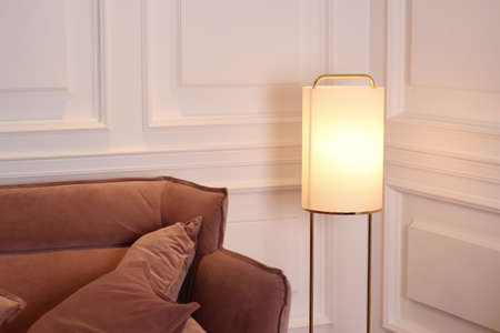 Brown sofa with pillows and white wallsの写真素材