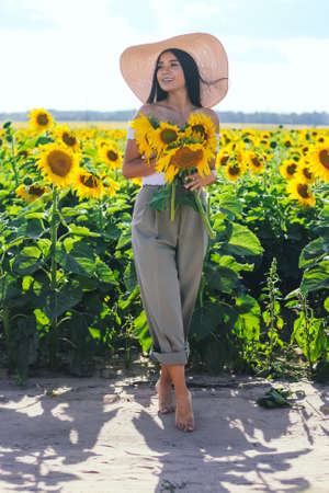 A beautiful brunette woman in a white top on a field with sunflowers holds flowers of sunflowers in her hands. Yellow sunflowers.の写真素材
