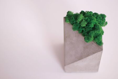 A concrete organiser with stabilized moss in itの写真素材