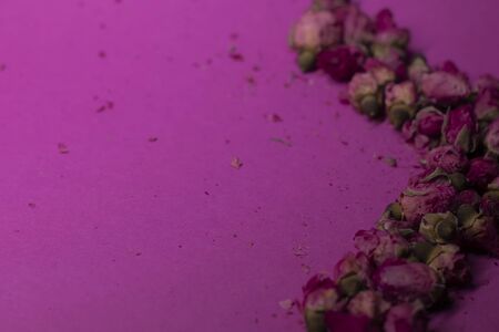 A lot of little pink roses on a pink background - X-shaped - horizontal photoの写真素材