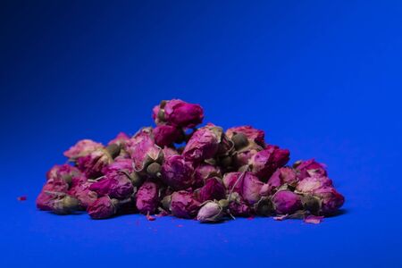 A lot of little pink roses on a blue background - horizontal photoの写真素材