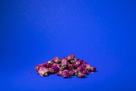 A lot of little pink roses on a blue background - horizontal photoの写真素材