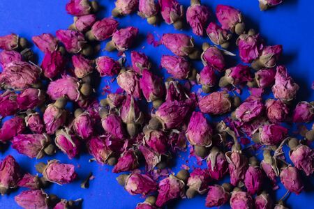A lot of little pink roses on a blue background - horizontal photo