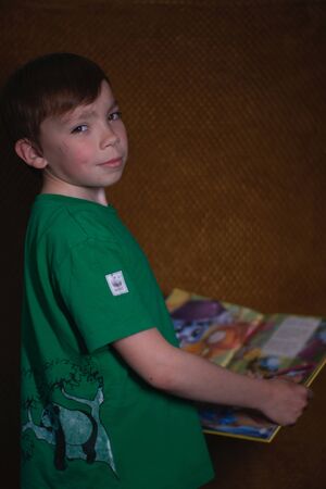 portrait of a pensive nine year old blond boy in a green t-shirt on brown background reading a yellow book with bright pictures. home schoolingの写真素材