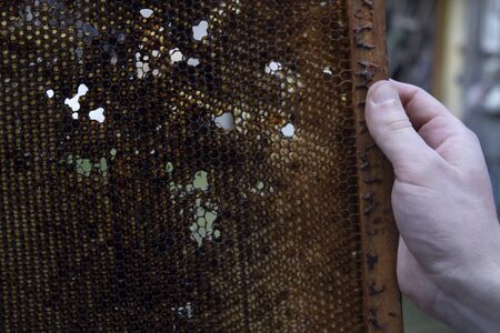 used honeycombs. houses of bees - hive. beekeeping. beekeeper. apiculture concept. High quality photoの写真素材