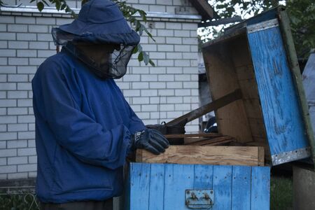 beekeeper works in the garden with the bees. honeycombs. houses of bees - hive. beekeeping. apiculture concept. High quality photoの写真素材