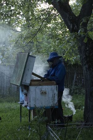beekeeper works in the garden with the bees. honeycombs. houses of bees - hive. beekeeping. apiculture concept. High quality photoの写真素材