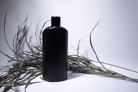 Composition of a black shampoo bottle with no label near dried leaves. body care and beauty concept. Copy space. . High quality photoの写真素材