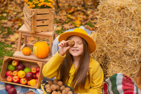 cute beautiful teenage brunette girl in an orange hat, dress and coat holding a walnut near her face and a basket with walnuts nearby. Cosiness, autumn.の写真素材