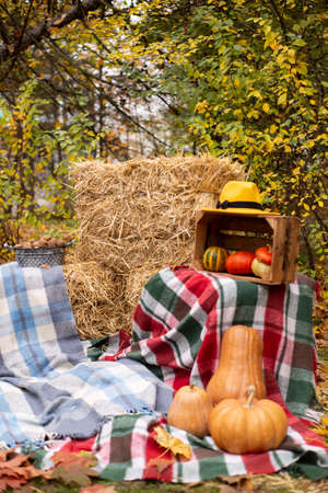 autumn photozone from fall decorations. plaid and hat, pumpkins, apples, hay, flowers, leaves, walnuts. in the forest. banner or greeting card. copy spaceの写真素材