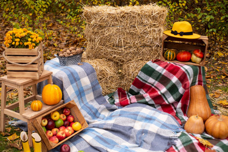 autumn photozone from fall decorations. plaid and hat, pumpkins, apples, hay, flowers, leaves, walnuts. in the forest. banner or greeting card. copy spaceの写真素材