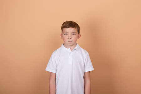 emotional portrait of a young boy teenager. charming school boy. beautiful kid. on light brown background.の写真素材
