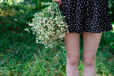 unrecognizable womens legs in black dress in white dots and white wildflowers outdoors on nature background on summertime.の写真素材